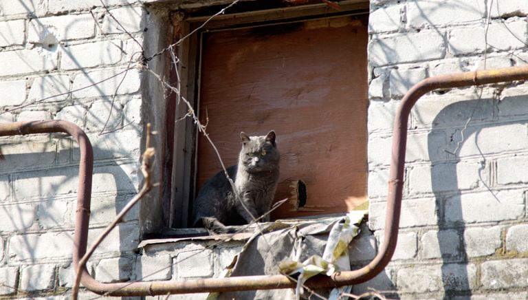 Жизнь в прифронтовом поселке Донецк-Северный в Донбассе Жизнь в прифронтовом поселке Донецк-Северный в Донбассе