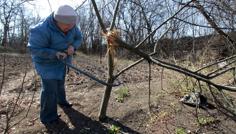 Жизнь в прифронтовом поселке Донецк-Северный в Донбассе Жизнь в прифронтовом поселке Донецк-Северный в Донбассе