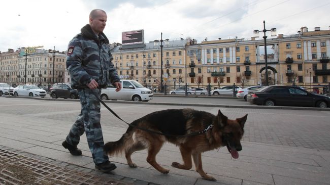 Сотрудник правоохранительных органов с собакой на улице в Санкт-Петербурге, Архивное фото Сотрудник правоохранительных органов с собакой на улице в Санкт-Петербурге, Архивное фото