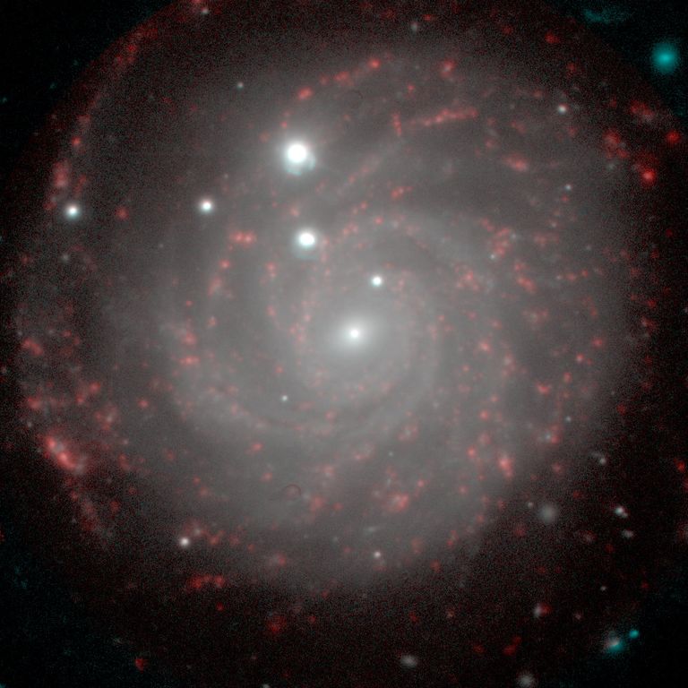 Галактика NGC 3344, видимая почти плашмя. Снимок 6-м телескопа с прибором SCORPIO Галактика NGC 3344, видимая почти плашмя. Снимок 6-м телескопа с прибором SCORPIO