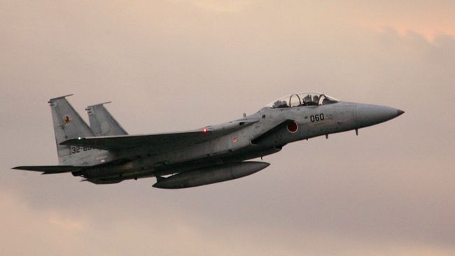 Истебитель F-15 Воздушных сил самообороны Японии Истебитель F-15 Воздушных сил самообороны Японии