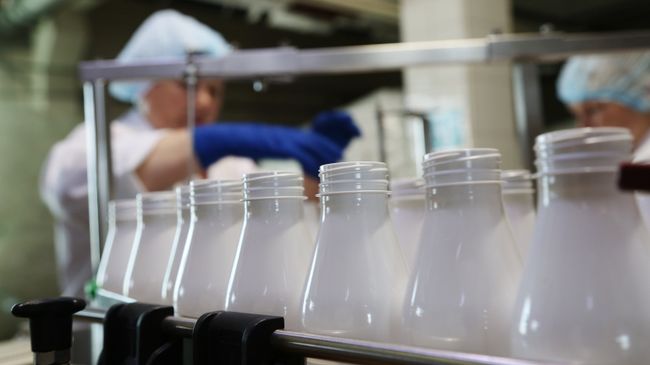 Производство молочных продуктов Производство молочных продуктов