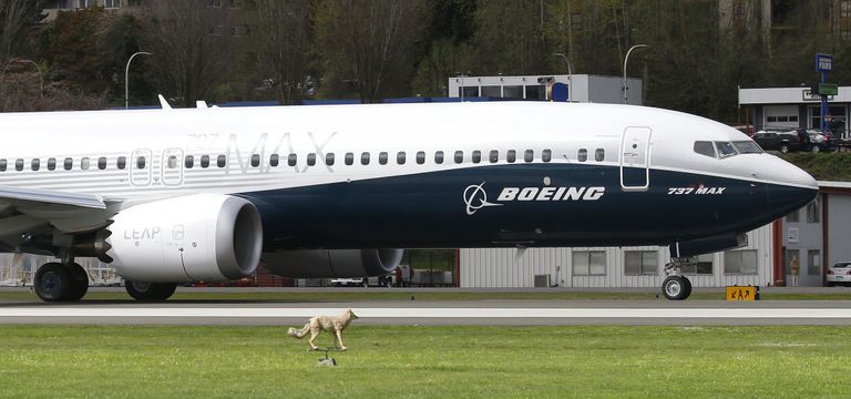 Самолет Boeing 737 MAX 9 перед первым полетом. 13 апреля 2017 Самолет Boeing 737 MAX 9 перед первым полетом. 13 апреля 2017