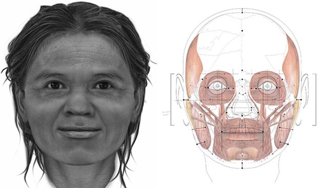 Лицо женщины из пещеры Там-Лод, восстановленное учеными Лицо женщины из пещеры Там-Лод, восстановленное учеными