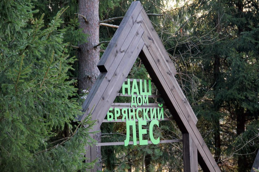 Экотропа «Наш дом – брянский лес» Экотропа «Наш дом – брянский лес»