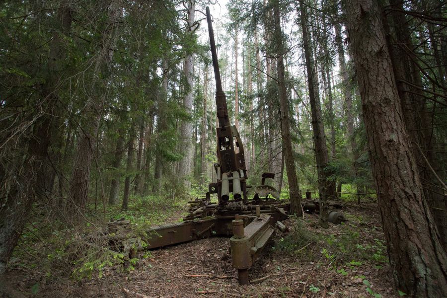 Орудие «Бофорс», более 70 лет простоявшее на острове Большой Тютерс