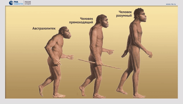 Хоббиты с острова Флорес оказались древнее, чем думали ученые Хоббиты с острова Флорес оказались древнее, чем думали ученые