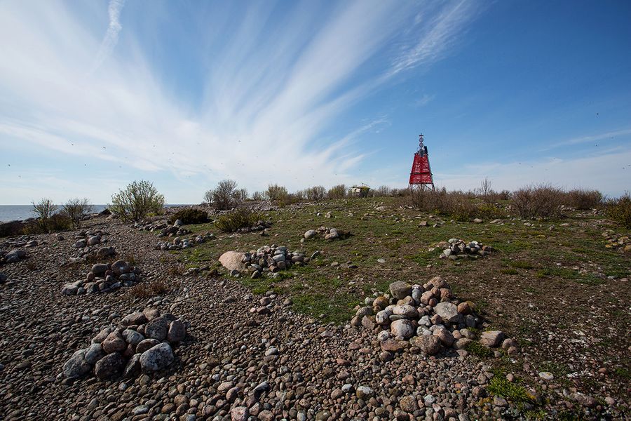 Виргины – места массового гнездования гаги, турпана, гагарки