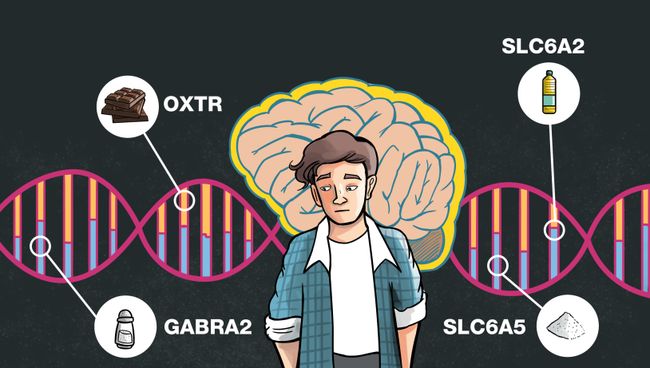 Гены OXTR, SLC6A2, GABRA2 и SLC6A5 дирижируют диетой человека Гены OXTR, SLC6A2, GABRA2 и SLC6A5 дирижируют диетой человека