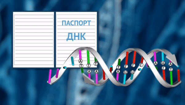 Паспорт ДНК Паспорт ДНК