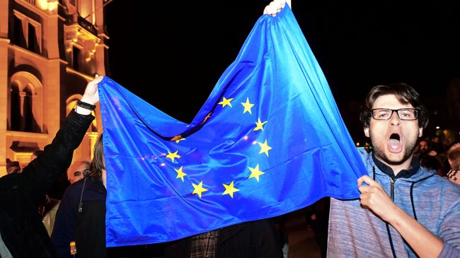 Протесты против новой системы образования в Венгрии. 12 апреля 2017 года