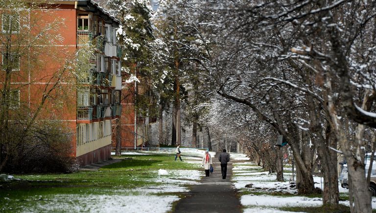 Жители на улице после снегопада в Новосибирском Академгородке Жители на улице после снегопада в Новосибирском Академгородке