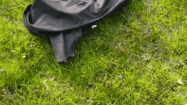 Всемирный день голого садовода gif Всемирный день голого садовода gif