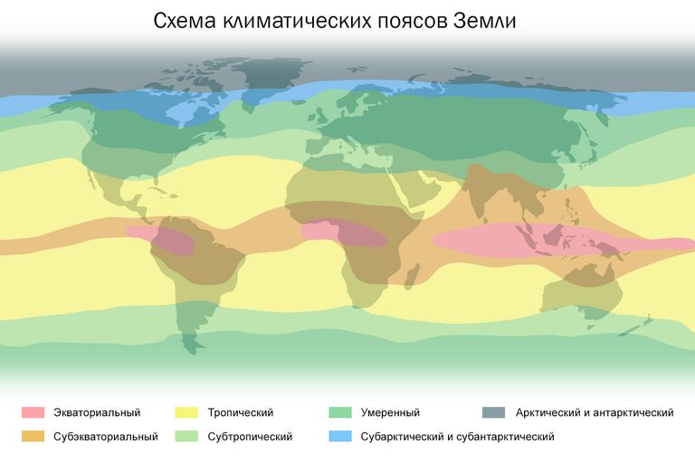 Существует четыре основных климатических пояса – экваториальный, тропический, умеренный, арктический и антарктический. Между ними есть переходные – субэкваториальный, субтропический, субарктический и субантарктический. Существует четыре основных климатических пояса – экваториальный, тропический, умеренный, арктический и антарктический. Между ними есть переходные – субэкваториальный, субтропический, субарктический и субантарктический.