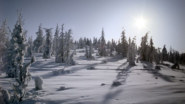 В районе Оймякона зарегистрирована самая низкая температура (-64°C) В районе Оймякона зарегистрирована самая низкая температура (-64°C)