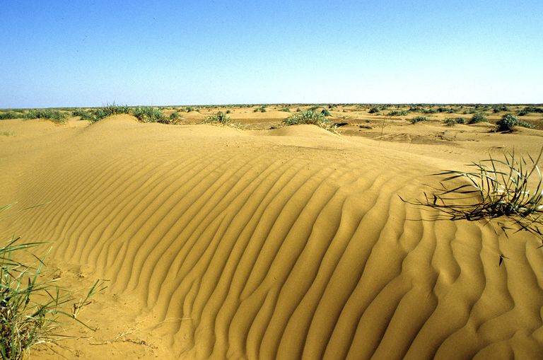 В Калмыкии летом температура доходит до +45°C
