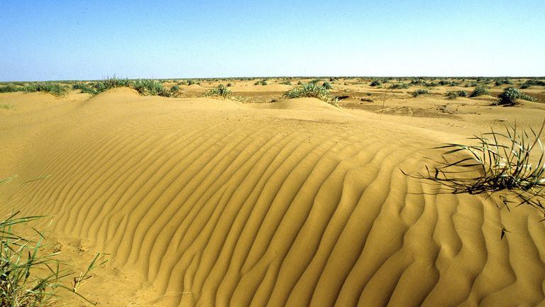 В Калмыкии летом температура доходит до +45°C В Калмыкии летом температура доходит до +45°C