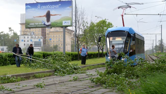 Сломанное ураганом дерево, на трамвайных путях в Москве. Архивное фото Сломанное ураганом дерево, на трамвайных путях в Москве. Архивное фото