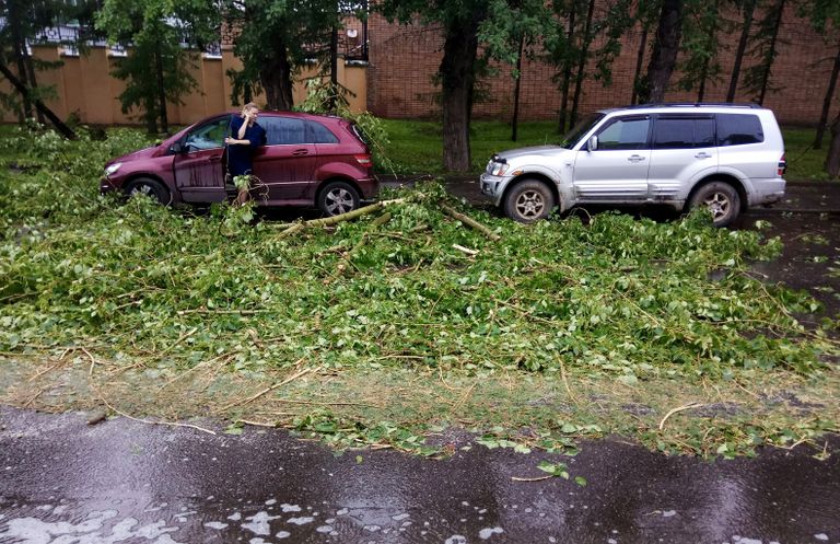 Автомобили, пострадавшие в результате урагана в Москве Автомобили, пострадавшие в результате урагана в Москве