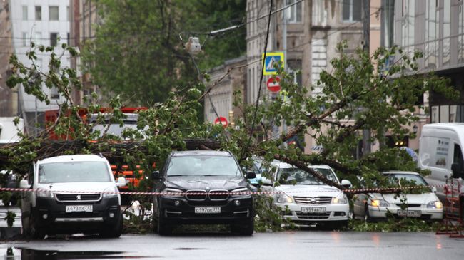 Последствия шквалистого ветра в Москве Последствия шквалистого ветра в Москве