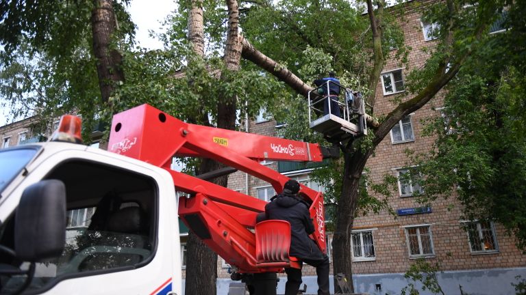Ликвидация последствий урагана в Москве Ликвидация последствий урагана в Москве