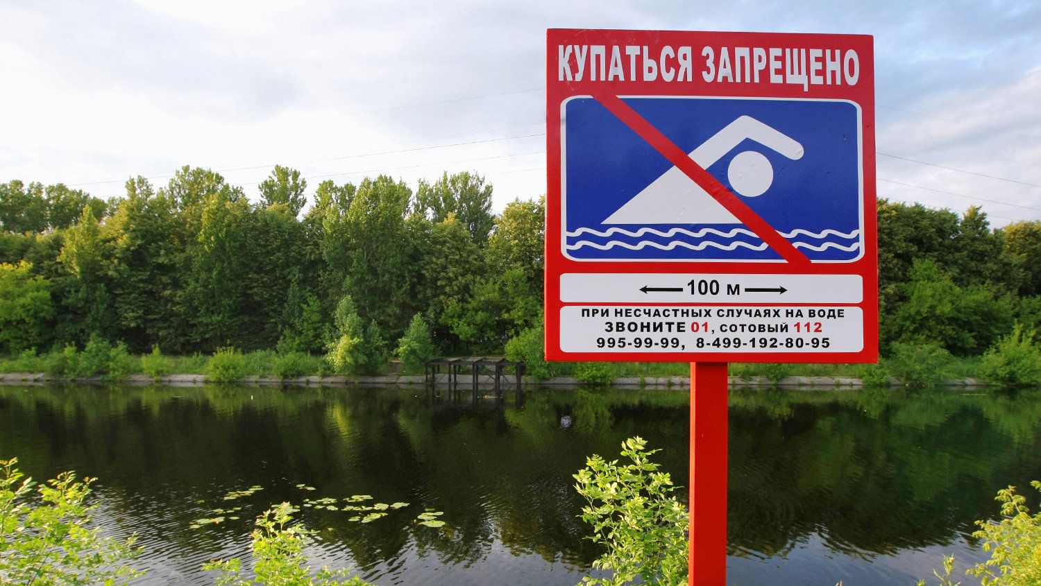Табличка Купаться запрещено - РИА Новости, 1920, 13.08.2022