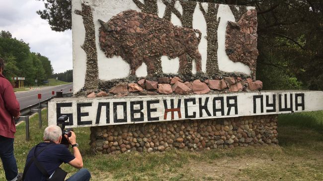Беловежская пуща. Архивное фото Беловежская пуща. Архивное фото