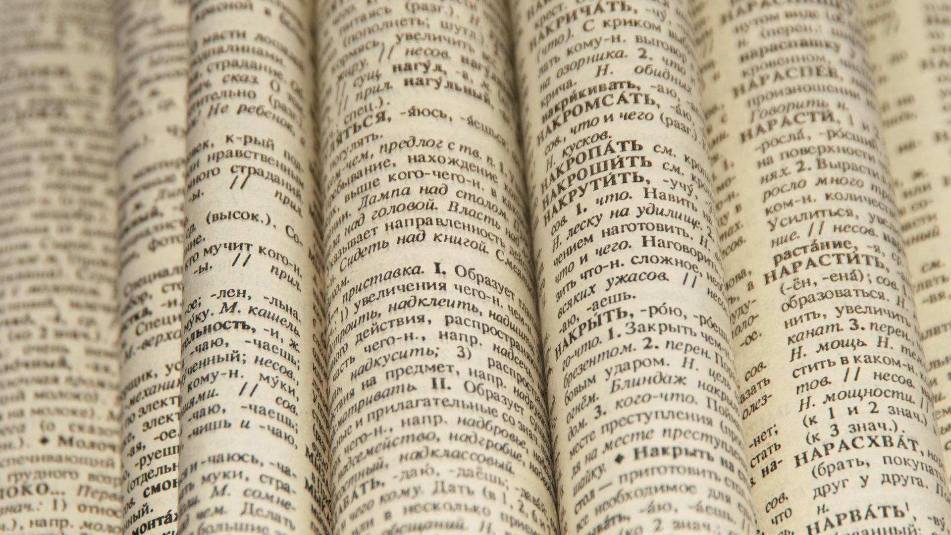 Словарь русского языка Словарь русского языка - РИА Новости, 1920, 25.02.2026