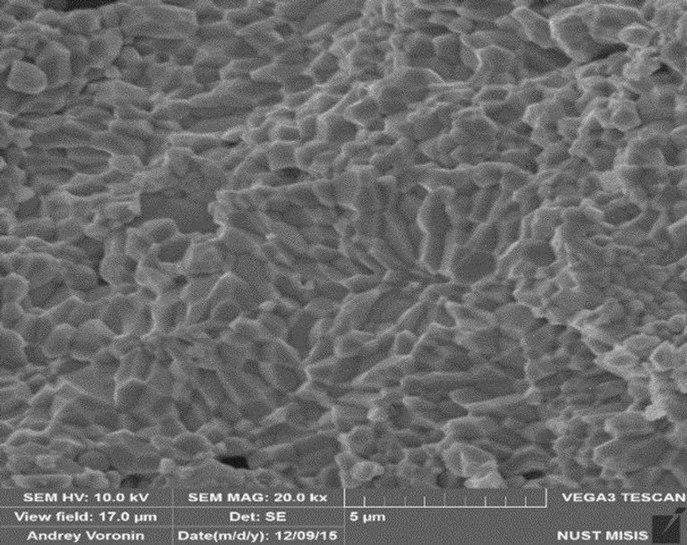 Микрофотография кристаллов CoSb3 с включениями индия (масштаб – 5 нанометров в сантиметре)