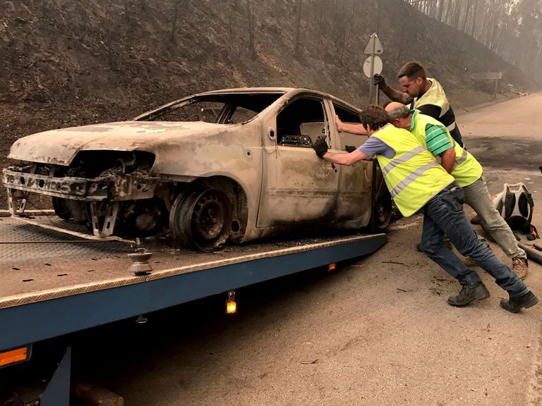 Последствия лесных пожаров в Португалии Последствия лесных пожаров в Португалии