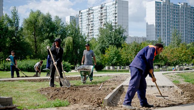 Рабочие благоустраивают территорию парка. Архивное фото Рабочие благоустраивают территорию парка. Архивное фото