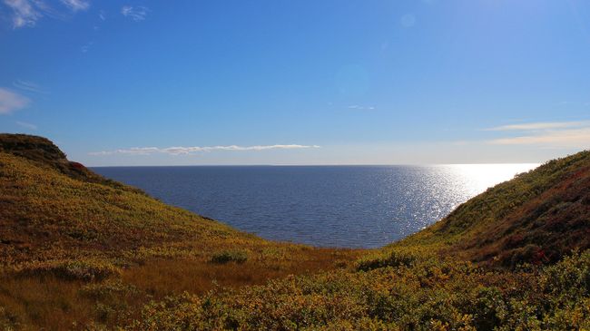 Побережье Карского моря летом. 2016.