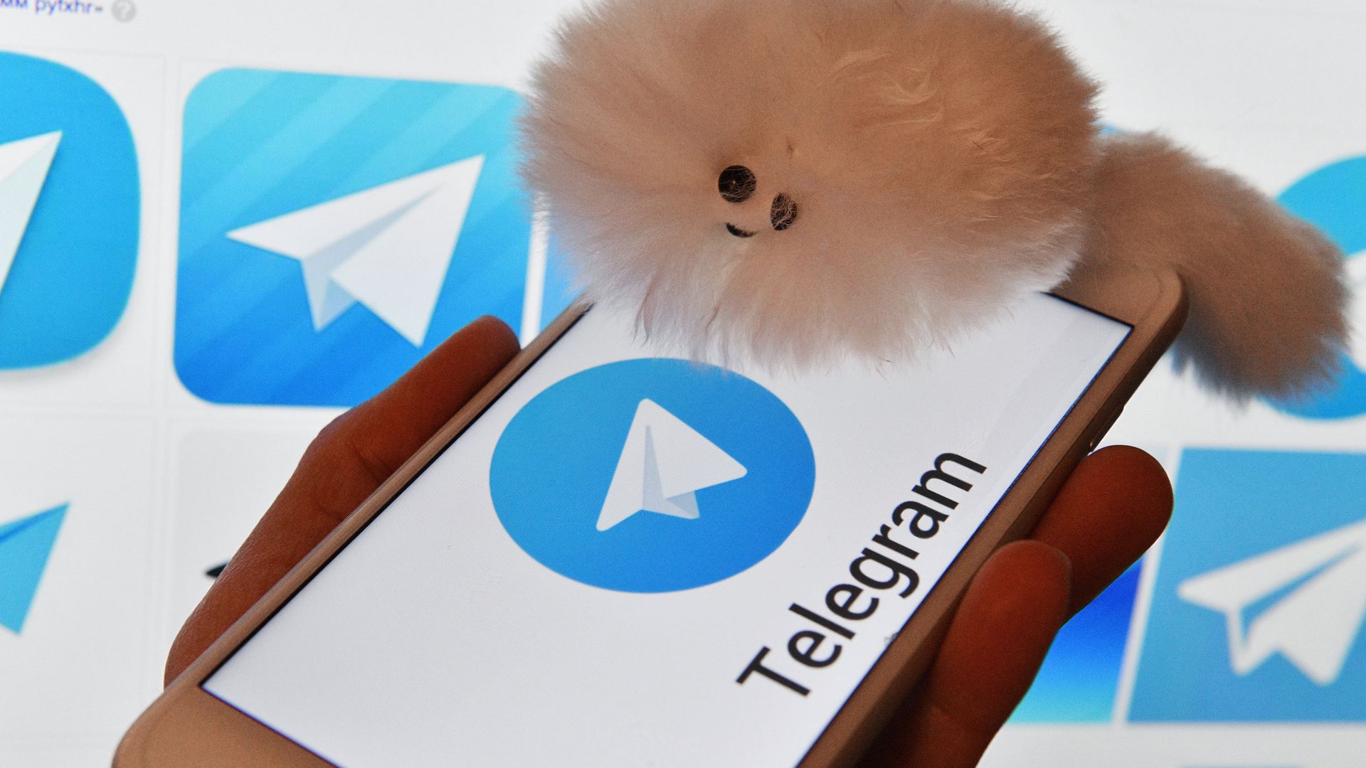 Логотип мессенджера Telegram на экранах смартфона и компьютера Логотип мессенджера Telegram на экранах смартфона и компьютера - РИА Новости, 1920, 15.11.2023