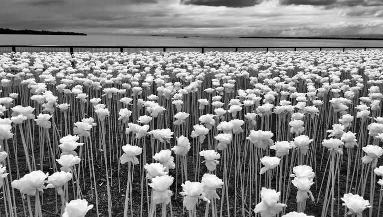 Работа фотографа из Филиппин Sidney Po, занявшая 1-ое место в категории Цветы в iPhone Photography Awards 2017 Работа фотографа из Филиппин Sidney Po, занявшая 1-ое место в категории Цветы в iPhone Photography Awards 2017