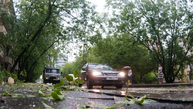 Последствия урагана в Москве