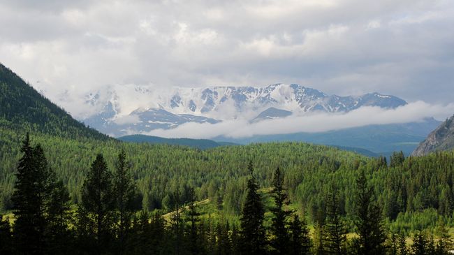 Алтайский край