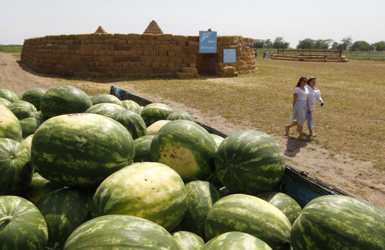 Футбольный стадион из соломы, напоминающий Зенит-Арену в Ставропольском крае. 19 июля 2017 Футбольный стадион из соломы, напоминающий Зенит-Арену в Ставропольском крае. 19 июля 2017