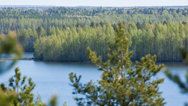 Тюменские школьники создали робота для спасения леса