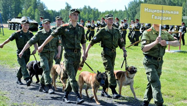 Военнослужащие со своими собаками на открытии Всеармейского этапа конкурса кинологов ВС РФ Верный друг. Архивное фото Военнослужащие со своими собаками на открытии Всеармейского этапа конкурса кинологов ВС РФ Верный друг. Архивное фото