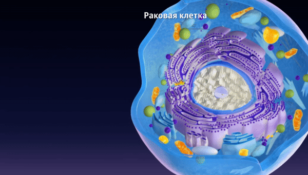 Так художник представил себе то, как альбумин помогает РНК убивать раковые клетки