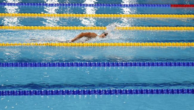 Чемпионат мира по водным видам спорта в Будапеште. 25 июля 2017 года Чемпионат мира по водным видам спорта в Будапеште. 25 июля 2017 года