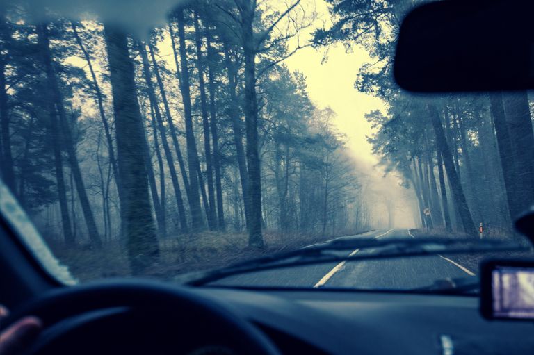 Автомобильная дорога в Литве Автомобильная дорога в Литве
