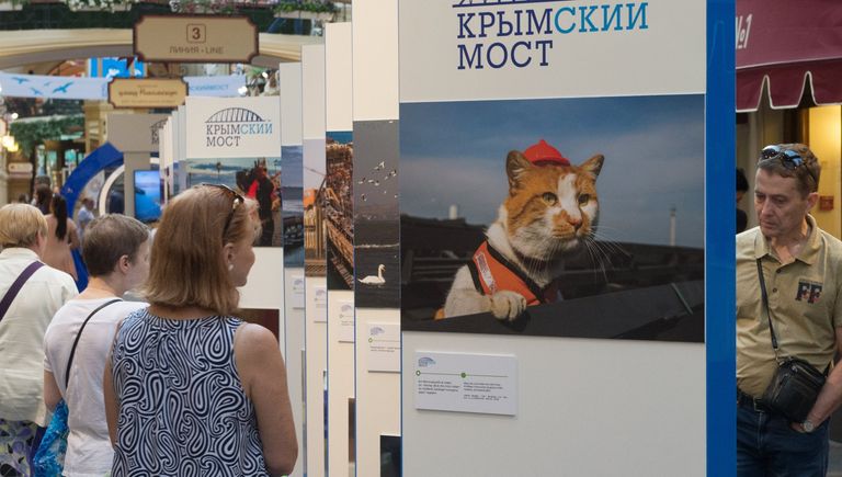 Выставка, посвященная строящемуся мосту через Керченский пролив, открылась в ГУМе. 27 июля 2017 Выставка, посвященная строящемуся мосту через Керченский пролив, открылась в ГУМе. 27 июля 2017