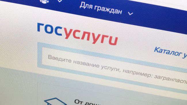 Официальный интернет-портал государственных услуг