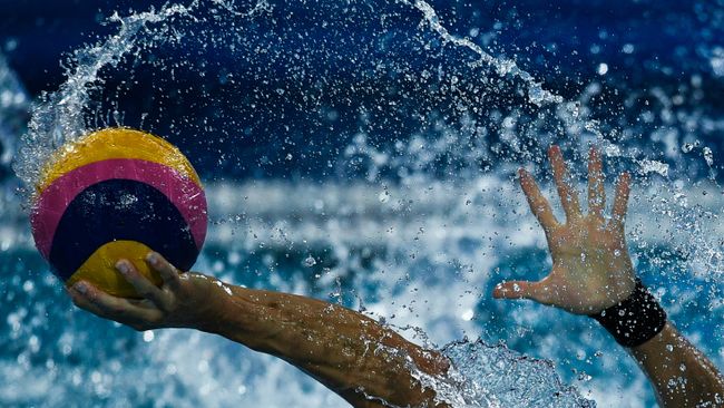 Чемпионат мира FINA 2017