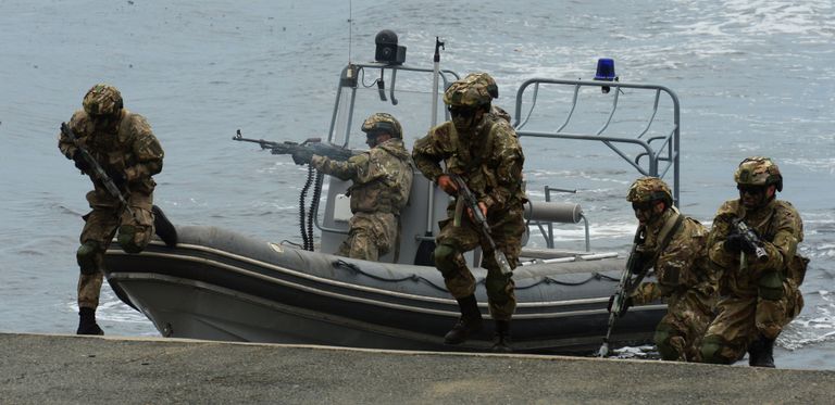 Высадка бойцов морского спецназа во время парада кораблей и военно-спортивного праздника по случаю празднования Дня Военно-морского флота России во Владивостоке. 30 июля 2017 Высадка бойцов морского спецназа во время парада кораблей и военно-спортивного праздника по случаю празднования Дня Военно-морского флота России во Владивостоке. 30 июля 2017