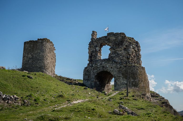 Каламита Каламита