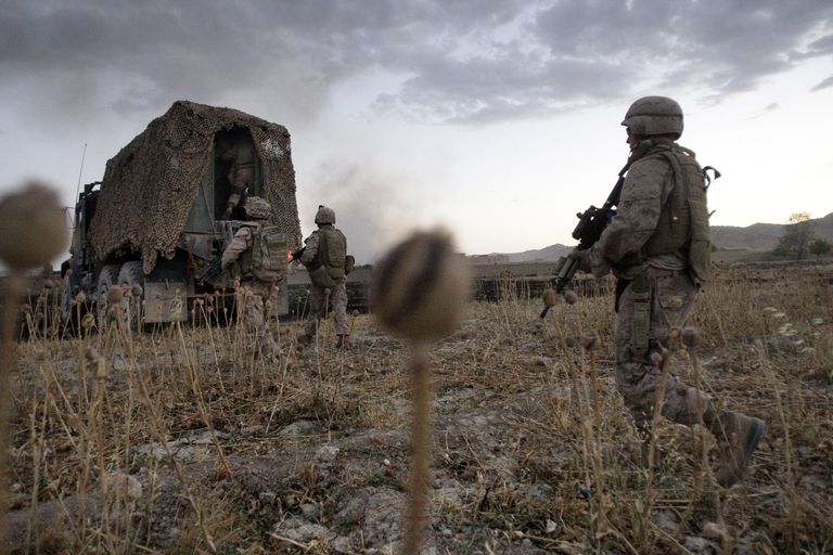 Американские военные проходят через маковое поле во время операции в провинции Гильменд, Афганистан