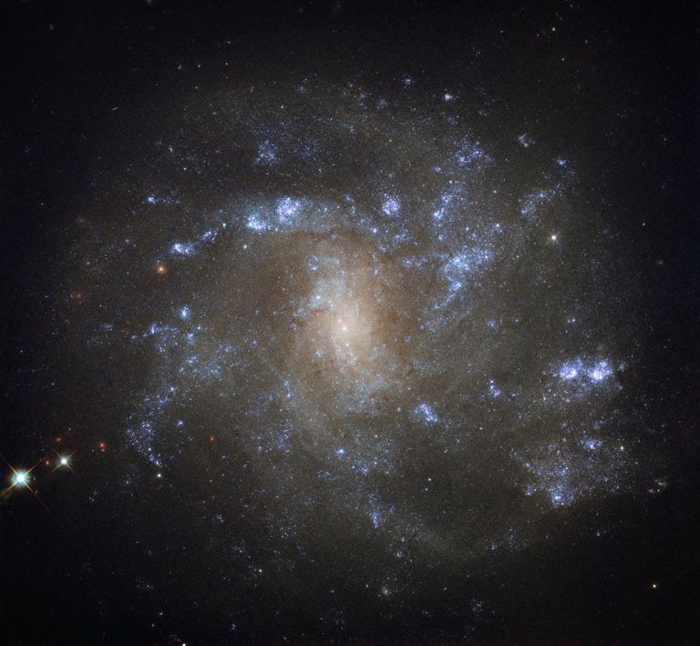 Cпиральная галактика NGC 2500 Cпиральная галактика NGC 2500