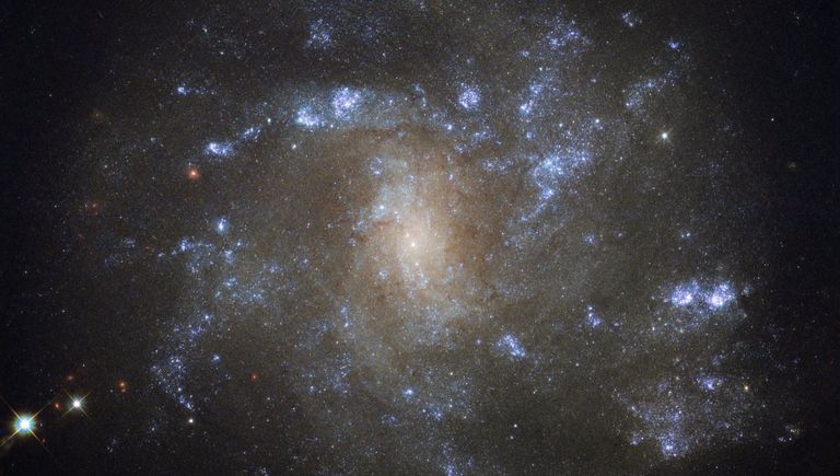 Cпиральная галактика NGC 2500 Cпиральная галактика NGC 2500